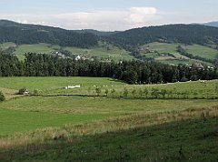 616_IMG_x41394_cr