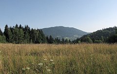 110_IMG_x43356_cr