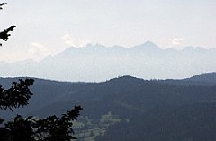 349_IMG_x43628_cr