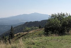 IMG_x43849_cr