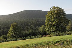 2013_08_25_Soblowka_Glinka