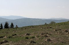 IMG_x45550_cr