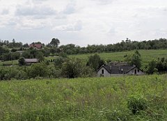 316_IMG_x46361_cr