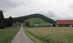 063_IMG_x46455_cr