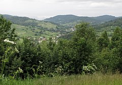 160_IMG_x46680_cr