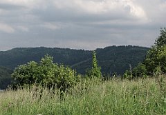331_IMG_x46885_cr