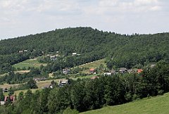 245_IMG_x47770_cr