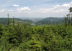 495_IMG_x48906_cr