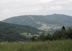 562_IMG_x48989_cr
