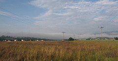 008_IMG_x49110_cr