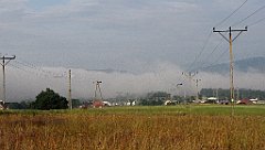017_IMG_x49125_cr