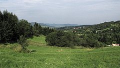 101_IMG_x49221_cr