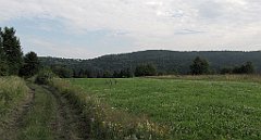 130_IMG_x49256_cr