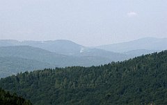 167_IMG_x49299_cr
