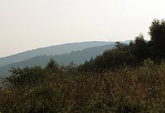 099_IMG_x50619_cr
