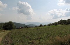 170_IMG_x50698_cr