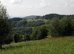 247_IMG_x50800_cr