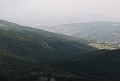 361_IMG_x51399_cr