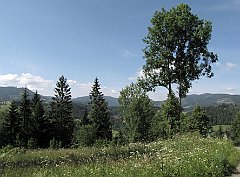 2014_06_24_Glinka_Prusow