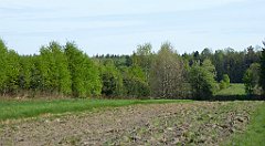 023_TZ60_P1010886_cr