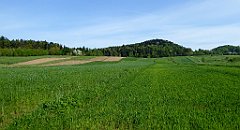 087_TZ60_P1010967_cr