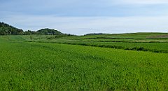 088_TZ60_P1010969_cr