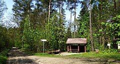 090_TZ60_P1010971_cr