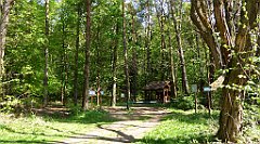 091_TZ60_P1010972_cr