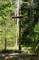 095_TZ60_P1010976_cr