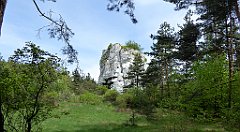 119_TZ60_P1010986_cr