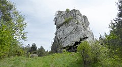 128_TZ60_P1010990_cr