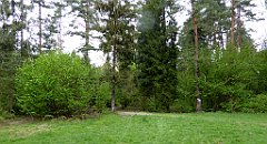 163_TZ60_P1020020_cr