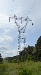 165_TZ60_P1020022_cr