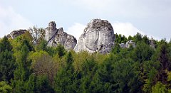 170_TZ60_P1020027_cr