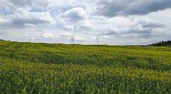 194_TZ60_P1020049_cr