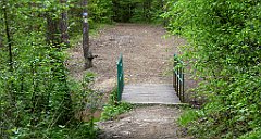 209_TZ60_P1020064_cr