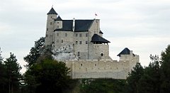 007_TZ60_P1040427_cr