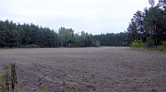 016_TZ60_P1040436_cr