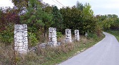 053_TZ60_P1040473_cr