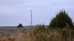 055_TZ60_P1040475_cr