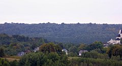 073_TZ60_P1040507_cr