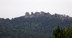 138_TZ60_P1040581_cr