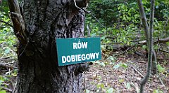 159_TZ60_P1040602_cr