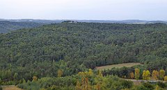 191_TZ60_P1040623_cr