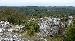 230_TZ60_P1040651_cr