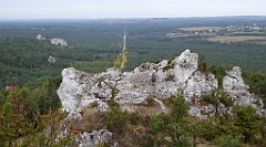 233_TZ60_P1040655_cr