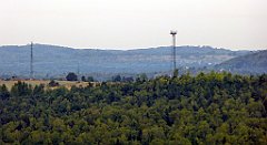 237_TZ60_P1040660_cr