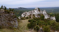 267_TZ60_P1040675_cr