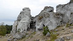 291_TZ60_P1040678_cr