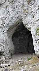 299_TZ60_P1040685_cr